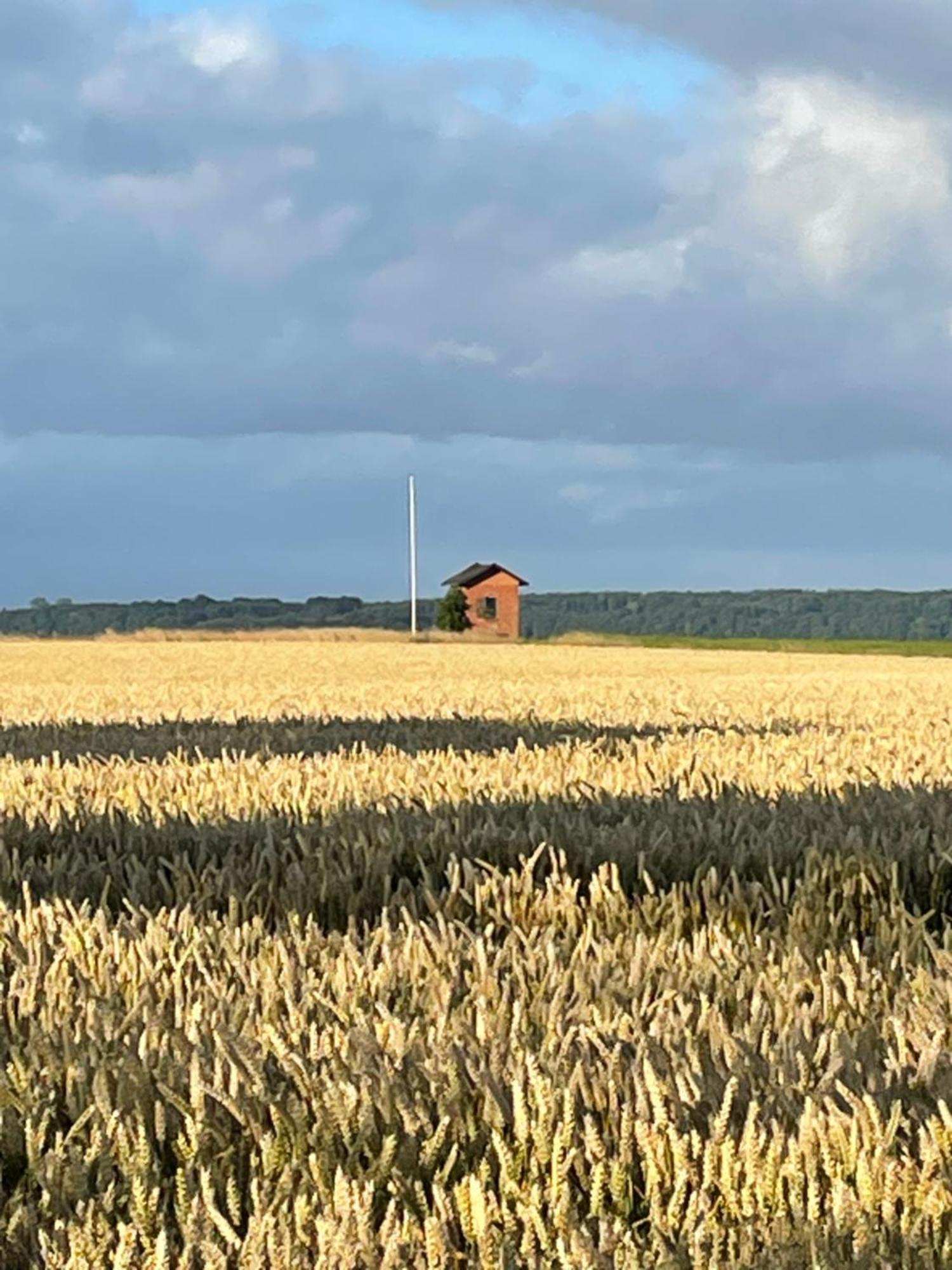Sovgodt Nyord - Primitiv Overnatning Buitenkant foto